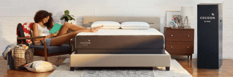 cocoon mattress by sealy