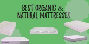 Best organic Mattresses